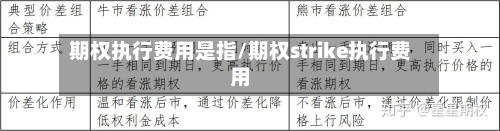 期权执行费用是指/期权strike执行费用