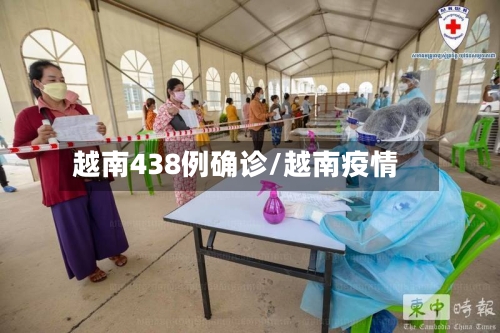 越南438例确诊/越南疫情