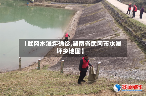 【武冈水浸坪确诊,湖南省武冈市水浸坪乡地图】