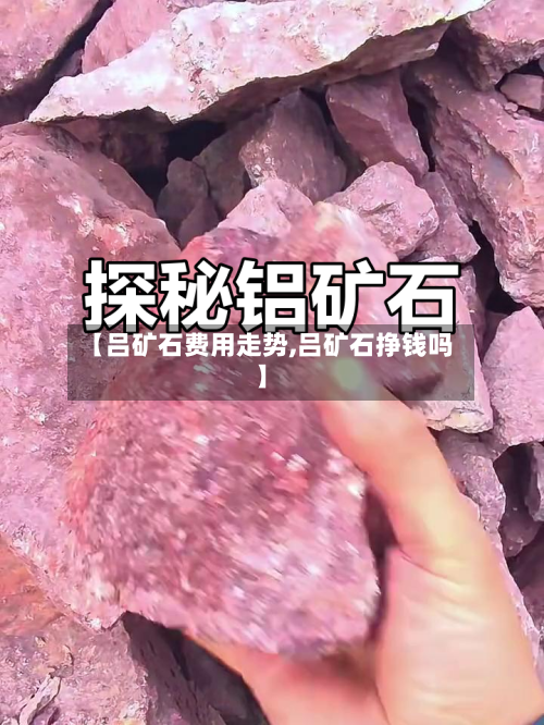 【吕矿石费用走势,吕矿石挣钱吗】
