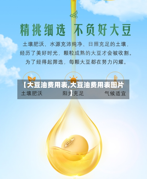 【大豆油费用表,大豆油费用表图片】