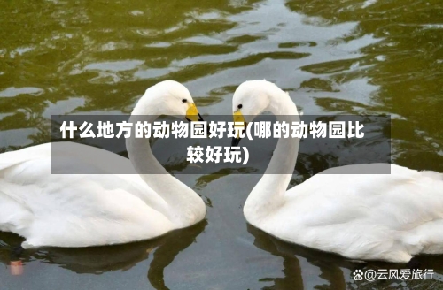 什么地方的动物园好玩(哪的动物园比较好玩)-第2张图片