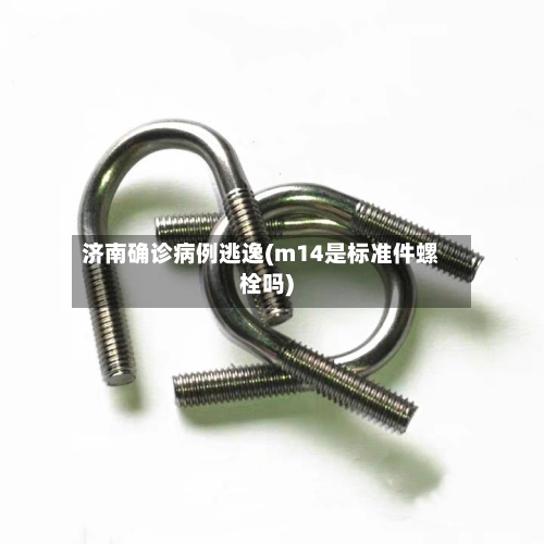 济南确诊病例逃逸(m14是标准件螺栓吗)-第2张图片