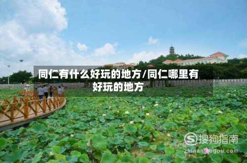 同仁有什么好玩的地方/同仁哪里有好玩的地方-第3张图片