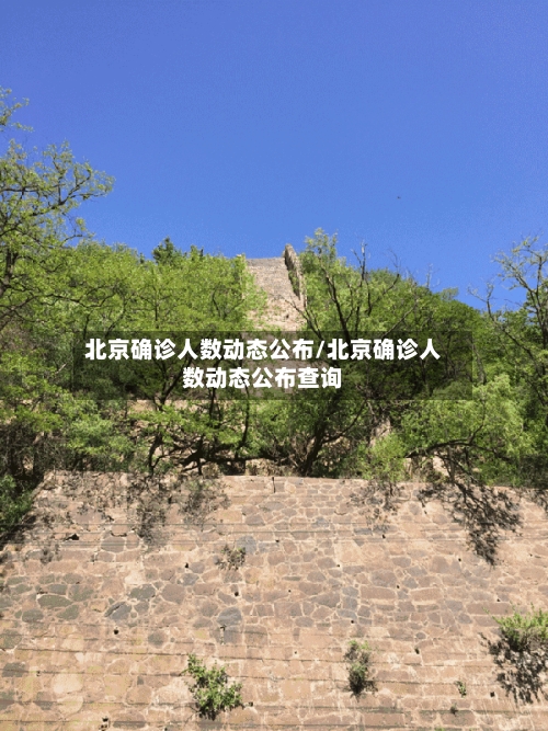 北京确诊人数动态公布/北京确诊人数动态公布查询-第2张图片