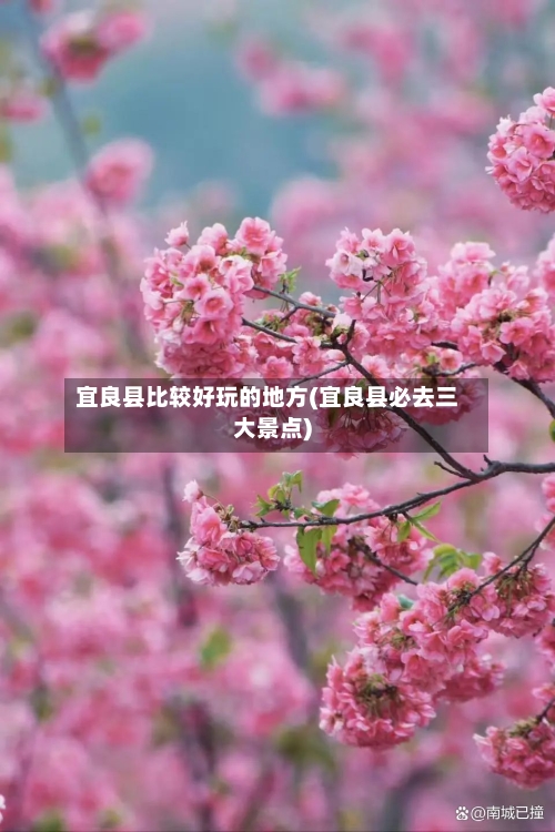 宜良县比较好玩的地方(宜良县必去三大景点)