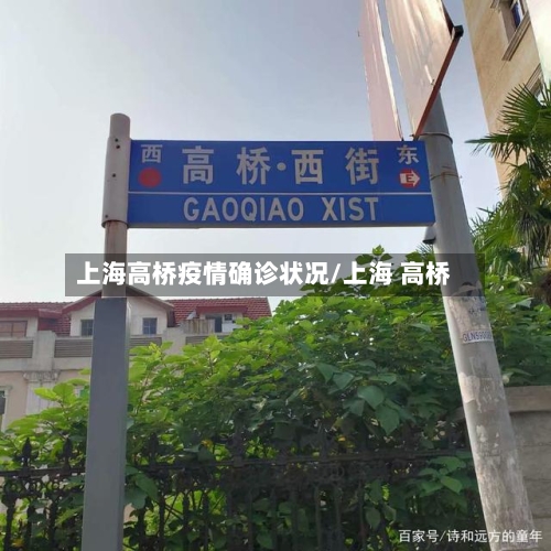 上海高桥疫情确诊状况/上海 高桥-第3张图片