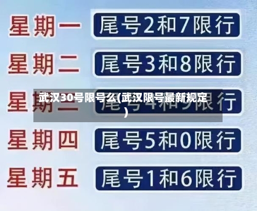 武汉30号限号么(武汉限号最新规定)-第3张图片
