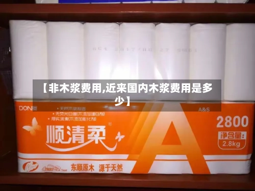 【非木浆费用,近来国内木浆费用是多少】-第2张图片