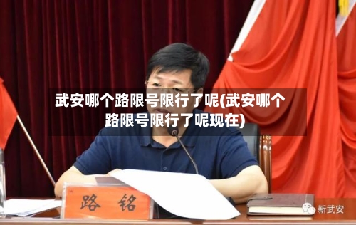 武安哪个路限号限行了呢(武安哪个路限号限行了呢现在)