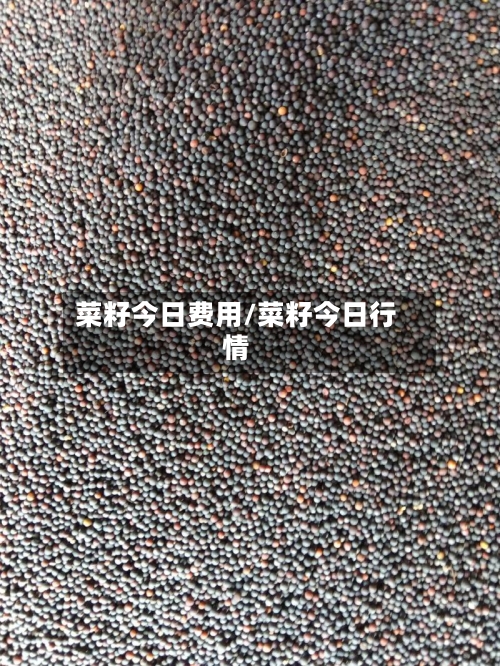 菜籽今日费用/菜籽今日行情-第2张图片