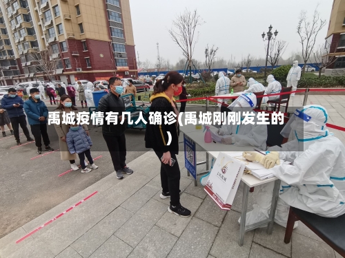禹城疫情有几人确诊(禹城刚刚发生的)
