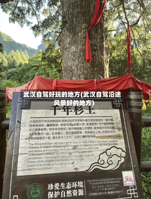 武汉自驾好玩的地方(武汉自驾沿途风景好的地方)-第3张图片