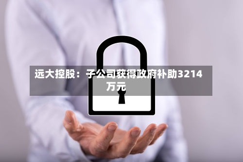 远大控股:子公司获得政府补助3214万元