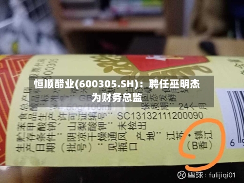 恒顺醋业(600305.SH):聘任巫明杰为财务总监