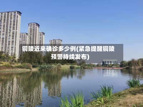 铜陵近来确诊多少例(紧急提醒铜陵预警持续发布)-第2张图片