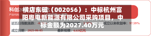 横店东磁（002056）：中标杭州富阳粤电新能源有限公司采购项目，中标金额为2027.40万元-第2张图片