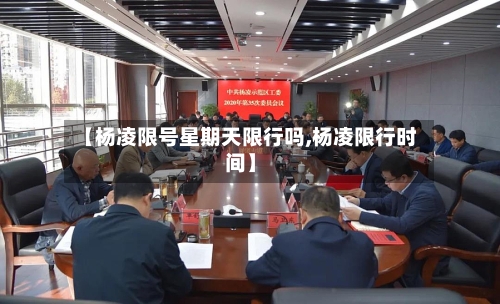 【杨凌限号星期天限行吗,杨凌限行时间】-第3张图片