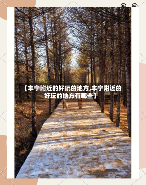 【丰宁附近的好玩的地方,丰宁附近的好玩的地方有哪些】-第1张图片