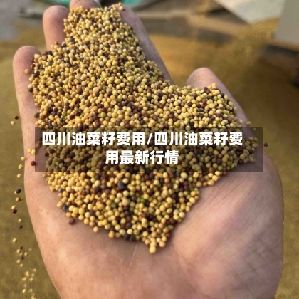 四川油菜籽费用/四川油菜籽费用最新行情-第2张图片