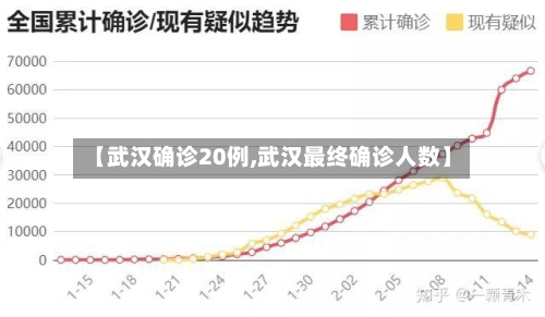 【武汉确诊20例,武汉最终确诊人数】-第2张图片