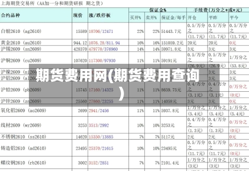 期货费用网(期货费用查询)-第2张图片