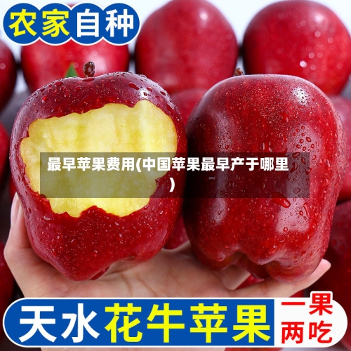最早苹果费用(中国苹果最早产于哪里)