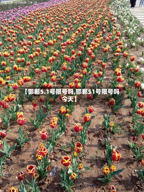 【邯郸5.1号限号吗,邯郸51号限号吗今天】