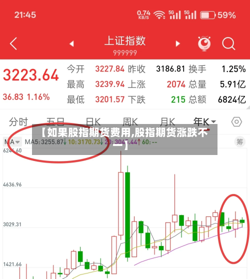 【如果股指期货费用,股指期货涨跌不一】-第3张图片