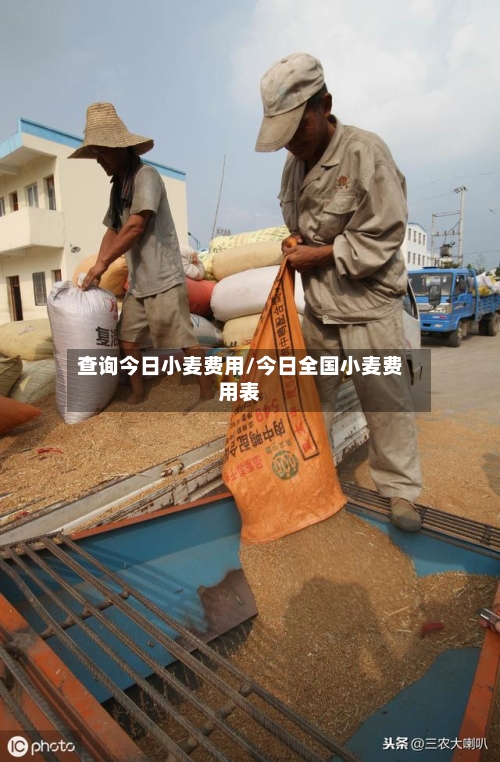 查询今日小麦费用/今日全国小麦费用表