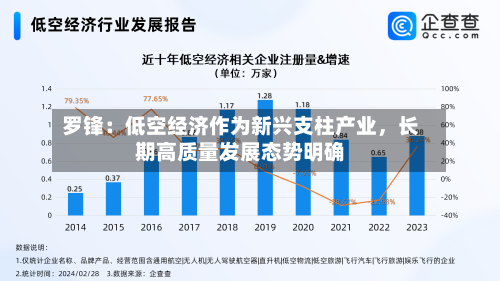 罗锋：低空经济作为新兴支柱产业，长期高质量发展态势明确-第3张图片