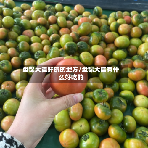 盘锦大洼好玩的地方/盘锦大洼有什么好吃的-第2张图片