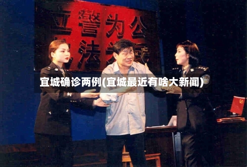 宜城确诊两例(宜城最近有啥大新闻)