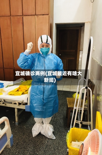 宜城确诊两例(宜城最近有啥大新闻)-第2张图片