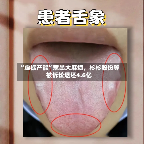 “虚标产能”惹出大麻烦，杉杉股份等被诉讼退还4.6亿-第2张图片