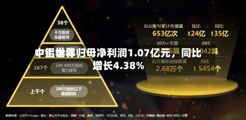 中铝世界：上半年归母净利润1.07亿元	，同比增长4.38%-第2张图片