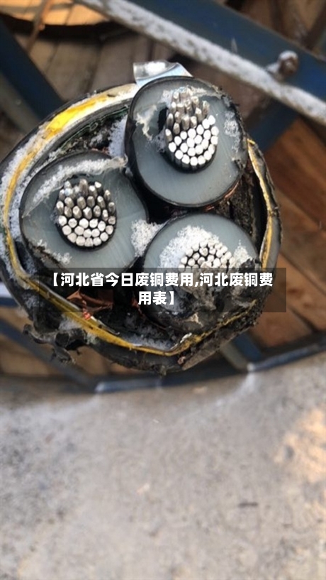 【河北省今日废铜费用,河北废铜费用表】-第2张图片