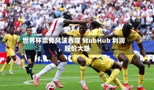 世界杯票务风波吞噬 StubHub 利润，股价大跌-第3张图片
