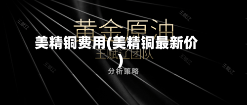 美精铜费用(美精铜最新价)-第2张图片