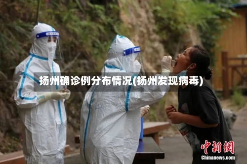 扬州确诊例分布情况(扬州发现病毒)-第2张图片