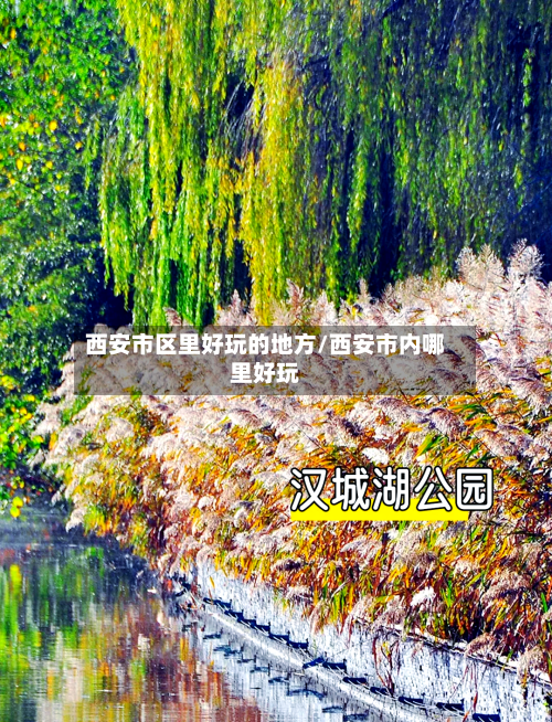 西安市区里好玩的地方/西安市内哪里好玩-第2张图片