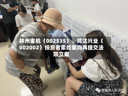 林州重机（002535）、鸿达兴业（002002）投资者索赔案均再提交法院立案-第3张图片