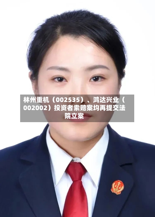 林州重机（002535）、鸿达兴业（002002）投资者索赔案均再提交法院立案-第2张图片