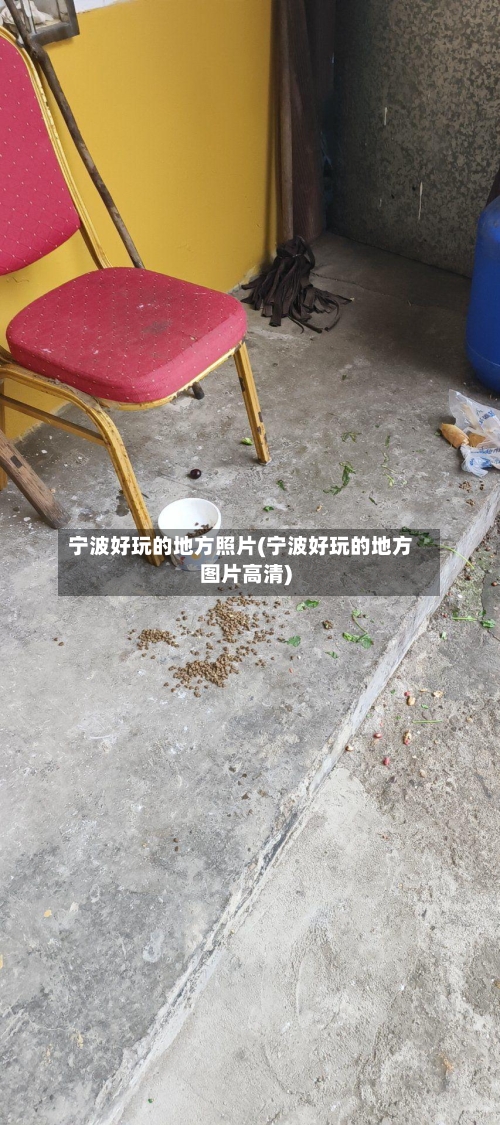宁波好玩的地方照片(宁波好玩的地方图片高清)-第3张图片