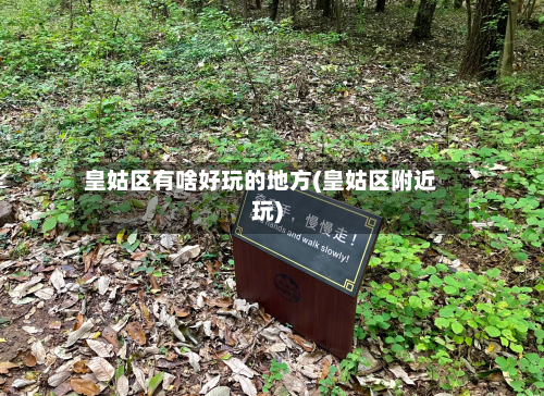 皇姑区有啥好玩的地方(皇姑区附近玩)