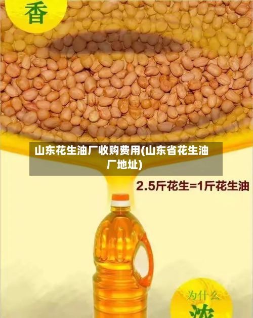 山东花生油厂收购费用(山东省花生油厂地址)