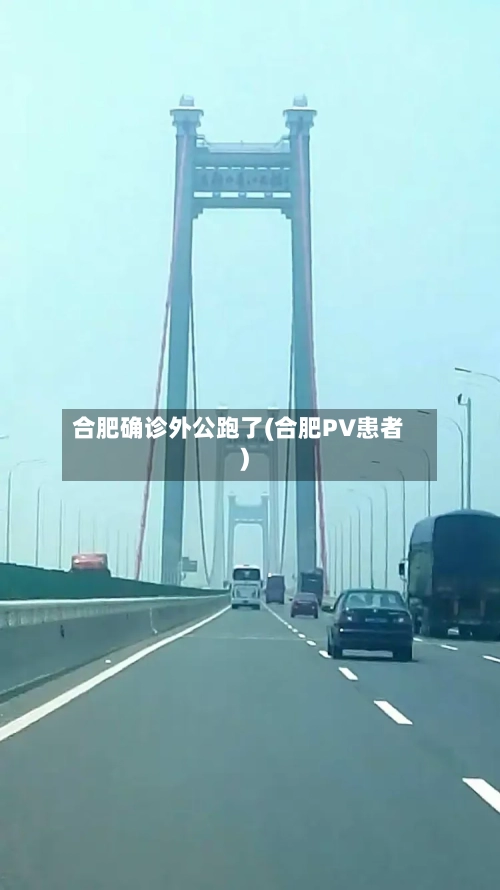 合肥确诊外公跑了(合肥PV患者)-第2张图片