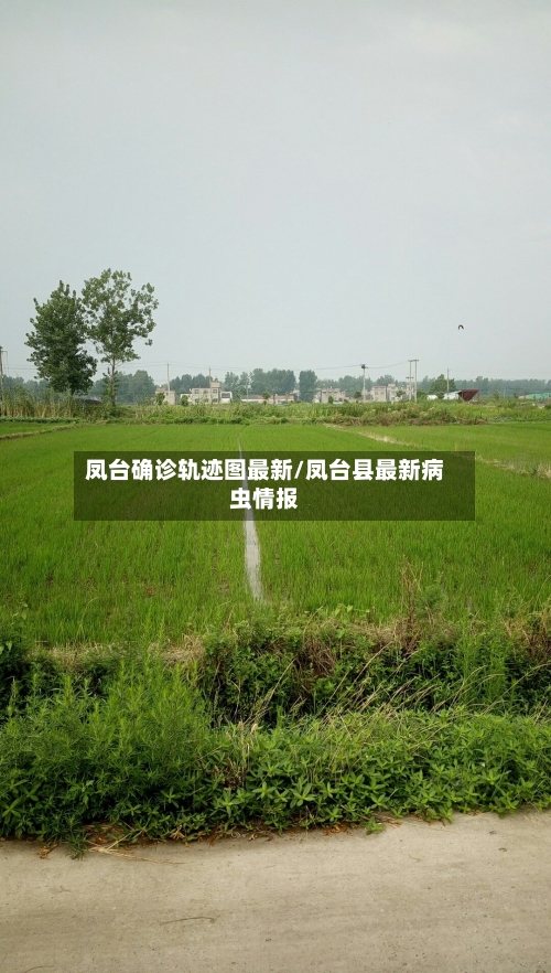 凤台确诊轨迹图最新/凤台县最新病虫情报-第2张图片