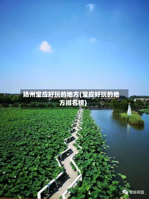 扬州宝应好玩的地方(宝应好玩的地方排名榜)-第3张图片