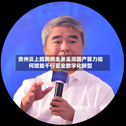 贵州云上鲲鹏将全景呈现国产算力如何赋能千行百业数字化转型-第2张图片